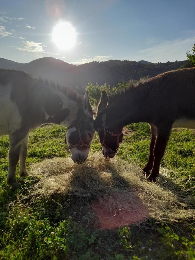 Volver B&B Spoleto Zewnętrze zdjęcie