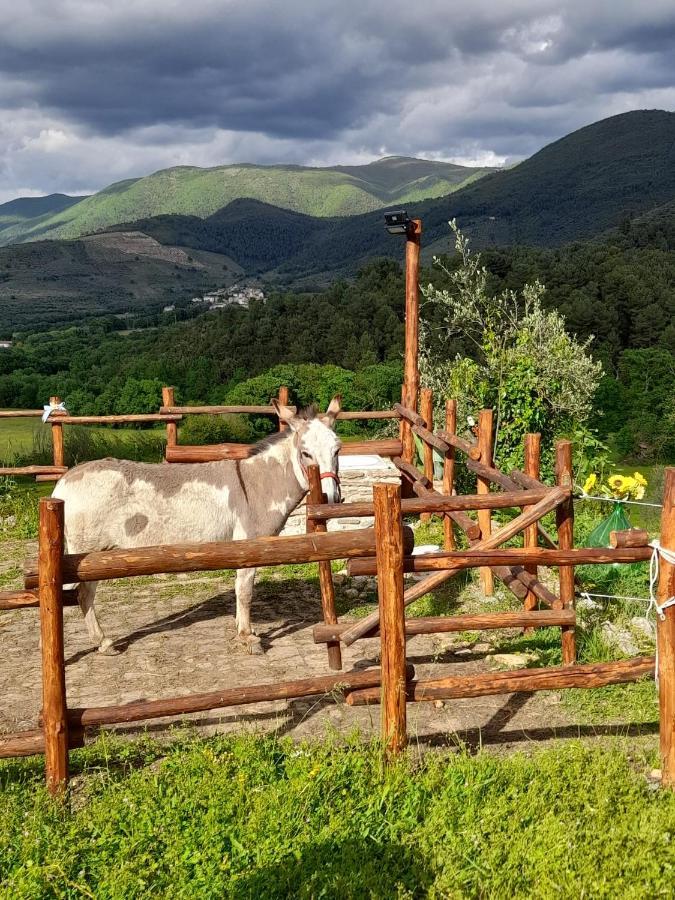 Volver B&B Spoleto Zewnętrze zdjęcie