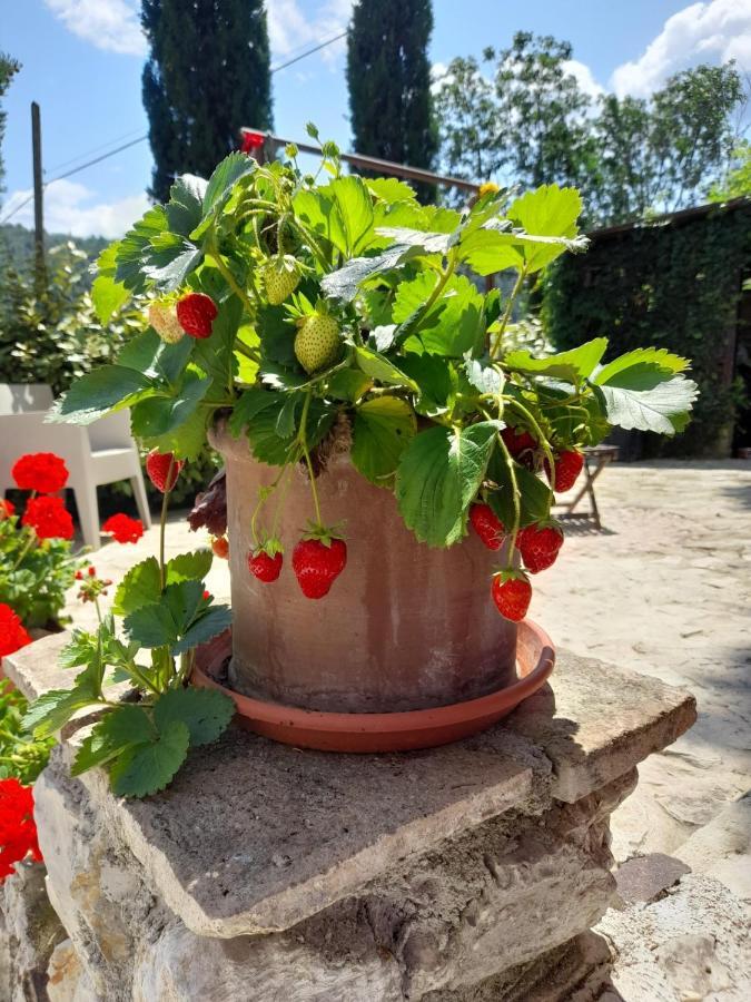 Volver B&B Spoleto Zewnętrze zdjęcie